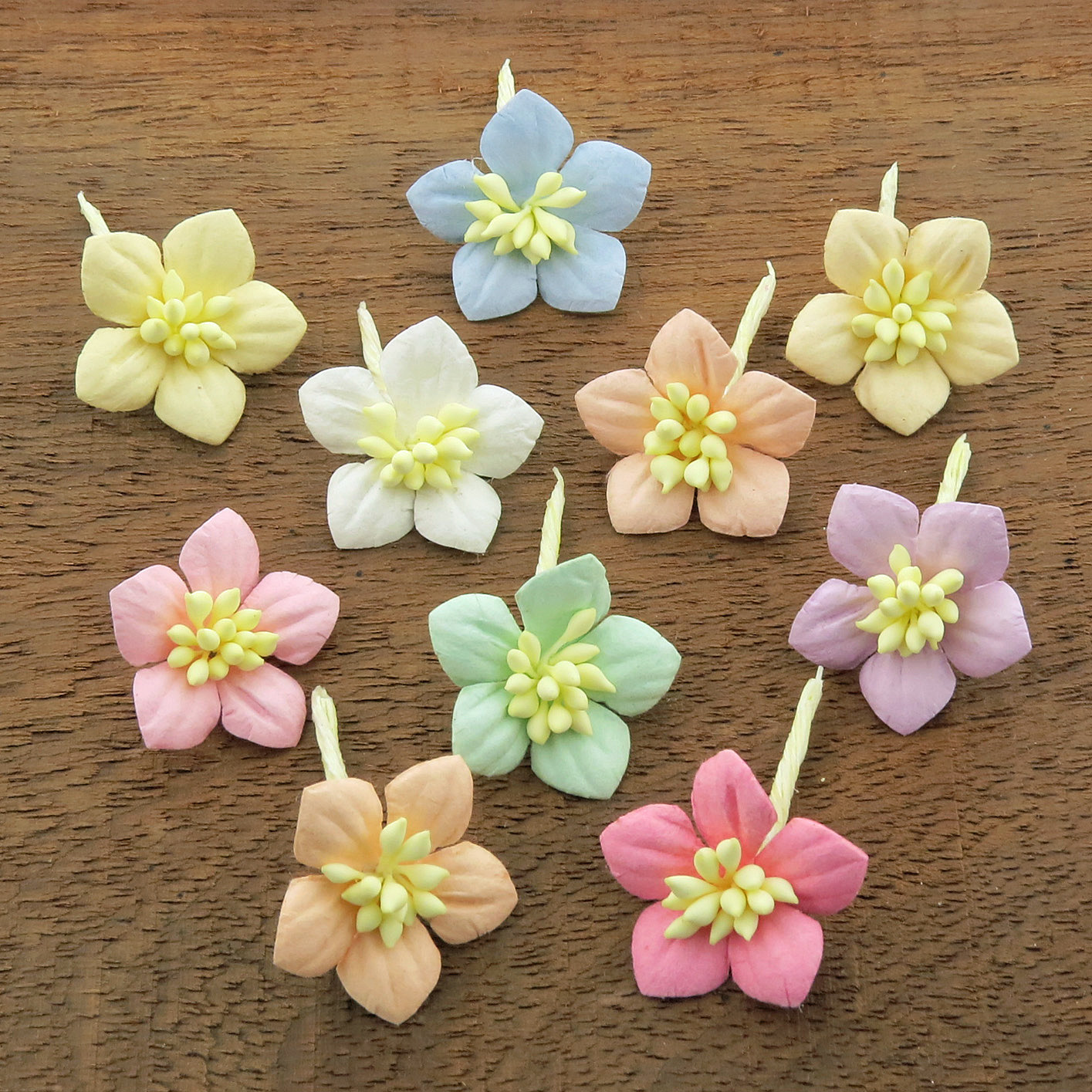 MIXED PASTEL COTTON STEM MULBERRY PAPER FLOWERS - SET C